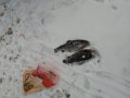IMG-20191203-WA0044.jpg