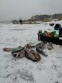 IMG-20191203-WA0025.jpg