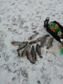 IMG-20191203-WA0023.jpg