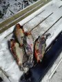 IMG-20191203-WA0073.jpg