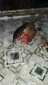 IMG-20191203-WA0054.jpg
