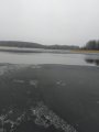 IMG_20191212_125858.jpg