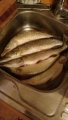 IMG-20191223-WA0025.jpeg