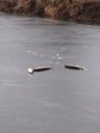 IMG-20191225-WA0059.jpg