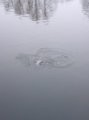 IMG-20191226-WA0003.jpg
