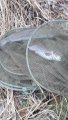 20191227_105725.jpg