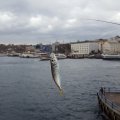 20191228_130930.jpg