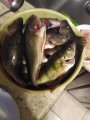 IMG_20200108_155516.jpg