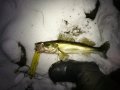 IMG_20200111_214823 — копия.jpg IMG_20200111_214823 — копия.jpg
