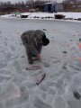 DSC01340.JPG