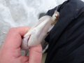 DSC01346.JPG