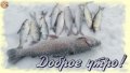 dVCPwEYmPM0.jpg
