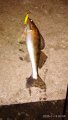 IMG_20200115_015941.jpg