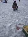 IMG-20200115-WA0114.jpg
