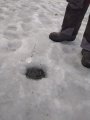 IMG-20200115-WA0105.jpg