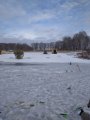 IMG-20200115-WA0133.jpg