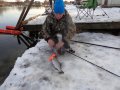 DSC01438.JPG