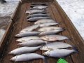 DSC01440.JPG