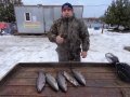 DSC01453.JPG