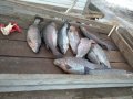 IMG-20200115-WA0183.jpg