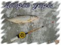 20181216_100214-.jpg