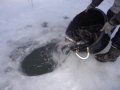 DSC01469.JPG