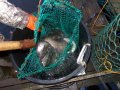 DSC01470.JPG