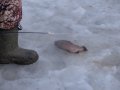 DSC01480.JPG