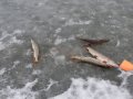 DSC01494.JPG