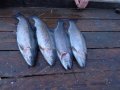 DSC01504.JPG