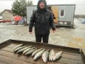 IMG_0795.JPG