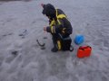 DSC01511.JPG