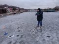 DSC01517.JPG