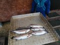 IMG_20200117_143931.jpg