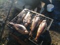 IMG_20200118_131105.jpg