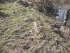 DSCN1810.jpg