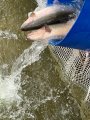 5CA33ABF-121C-4DA4-A499-2513BAF47673.jpeg