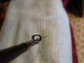 IMG_20200119_124503.jpg