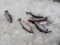IMG_20200122_093849.jpg