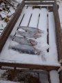 IMG-20200123-WA0065.jpg