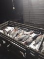 IMG-20200123-WA0096.jpg