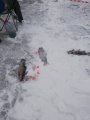 IMG-20200124-WA0001.jpg
