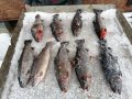 IMG_20200124_151850.jpg
