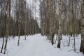 DSC_7509 е-4.jpg