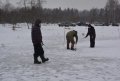 DSC_0007.JPG