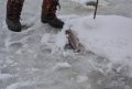 DSC_0012.JPG