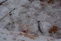 DSC_0021.JPG