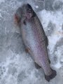 47B9FEB9-E40D-4889-B73C-BA9E186D7FB0.jpeg