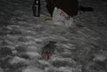 DSC_0014.JPG