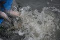 DSC_0036.JPG